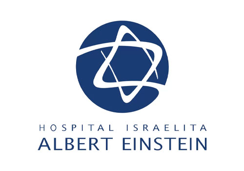 logo-einstein